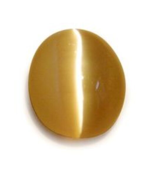 something in cat's eye