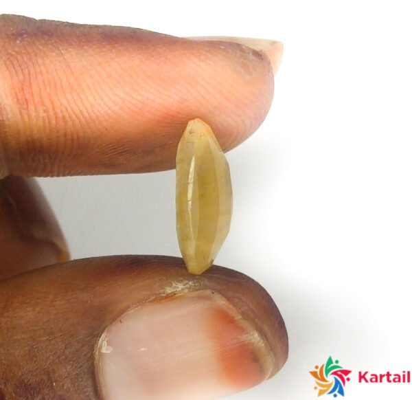 kanakapushyaragam kanakapushyaragam