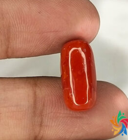 Red moonga stone natural certified 8.3 Carat by Kalyan gems