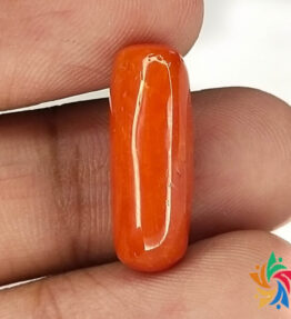 Kalyan Gems Certified Red Coral Stone Certified Loose Gemstone Online Sale Best AAA+ Quality red coral stone 7.7 Carat