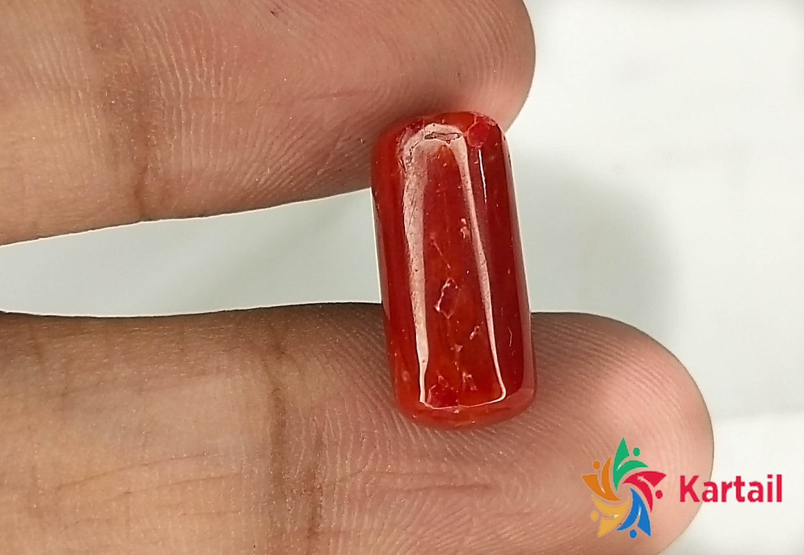 real red coral