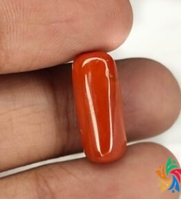Red Moong At Wholesale Prices 7.6 Carat
