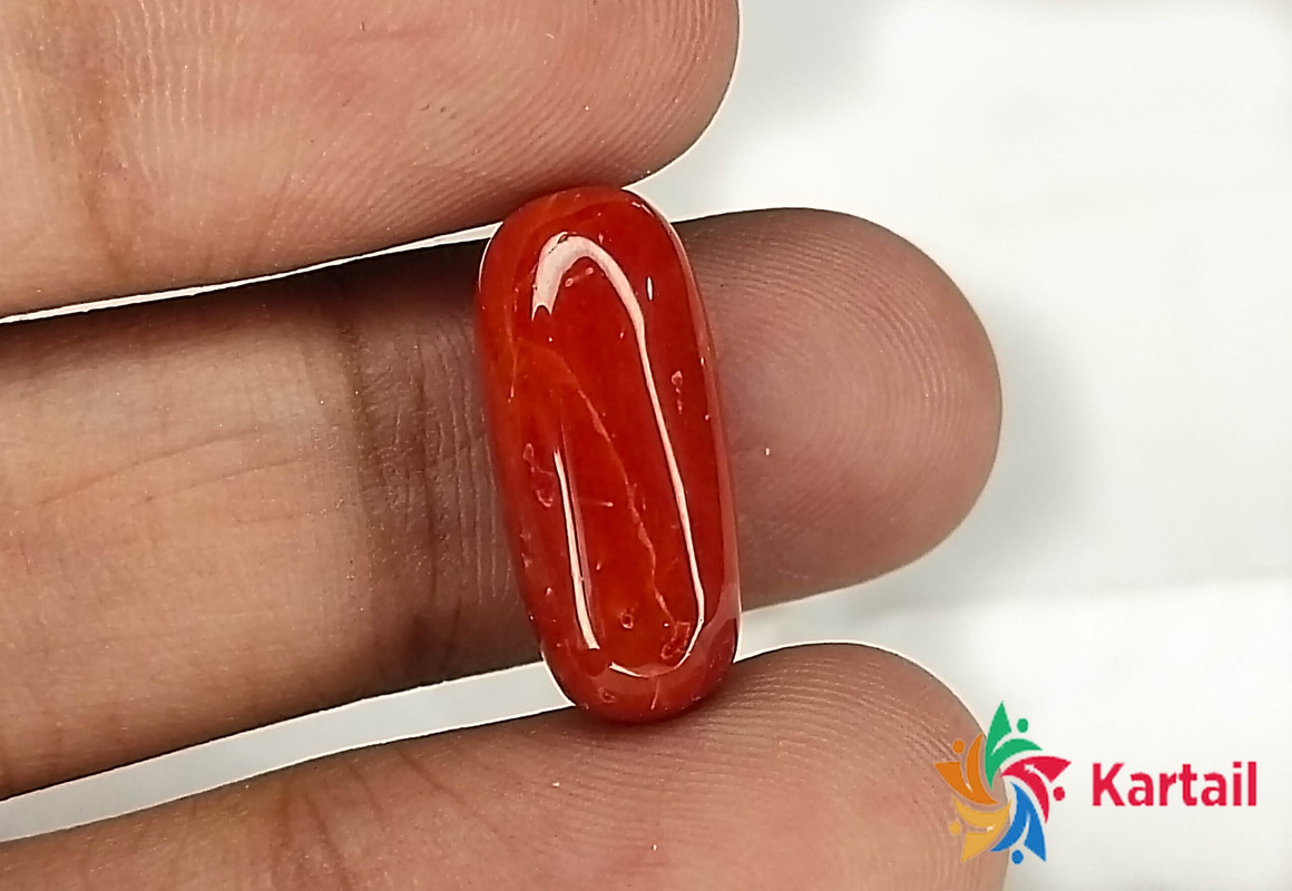 dark red coral