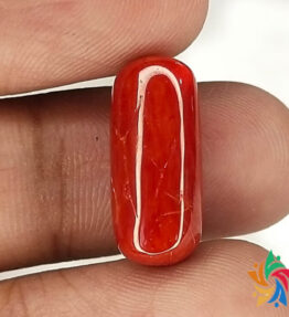 Kalyan Gems Red Moonga Stone Original Certified Loose munga gemstone  lal munga 7.35 Carat