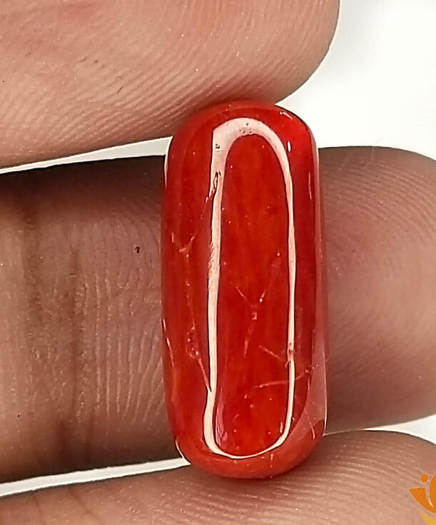natural red coral