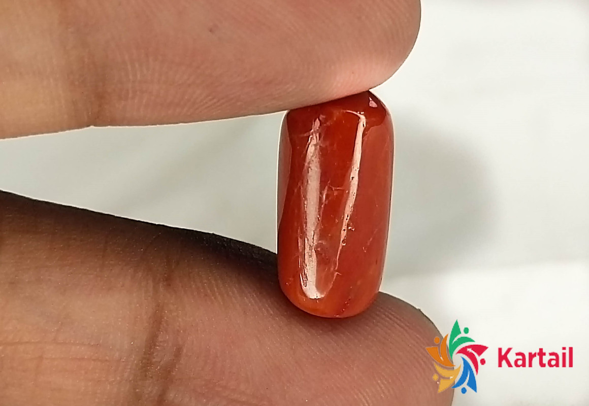 bright red coral