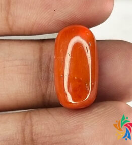 Kalyan Gems Buy Natural Moonga Stonr original Certified looose red coral gemstone red coral moonga 8.5 Carat