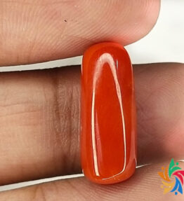 Kalyan Gems Certified Red Coral Stone Certified Loose Gemstone Online Sale Best AAA+ Quality laal moonga 8.1 Carat