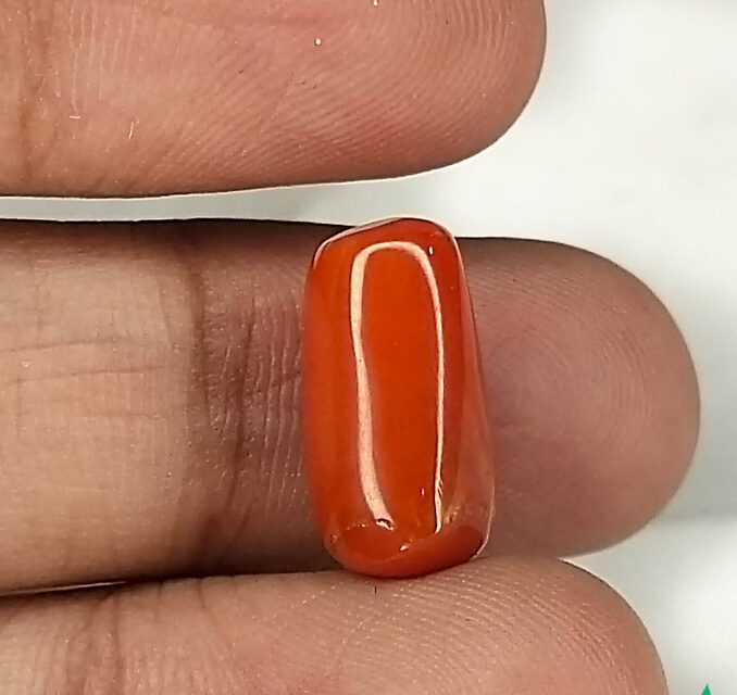 certified red coral
