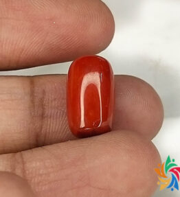 moonga Stone Certified Natural stones  red prabal stone 8 Carat