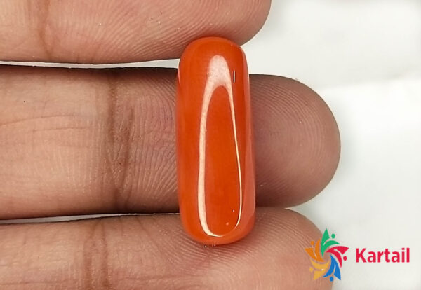 original italian red coral