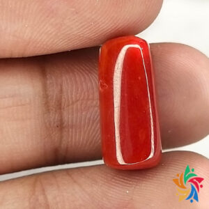 dark red coral