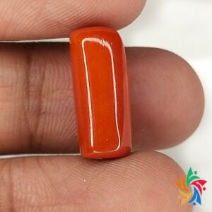 natural red coral
