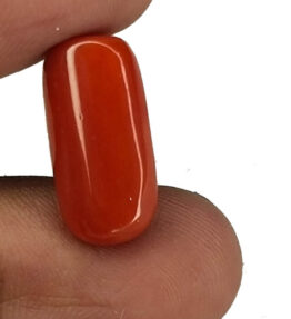 Kalyan Gems Red Moonga Stone Original Certified Loose munga gemstone   7.95 Carat