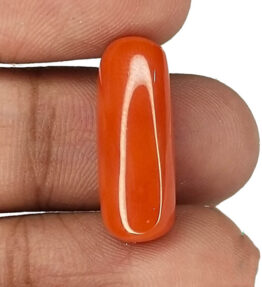 kalyan Gems  Certified Loose Red  moonga 9.2 Carat