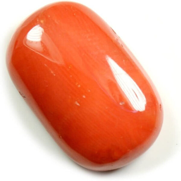 best red coral in the world