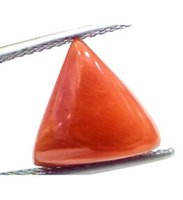 GRA Certified Triangle Red Coral Stone Original ( lal moonga ) Capsule Cut Munga Gemstone 2.25 Ct to 15 Ct