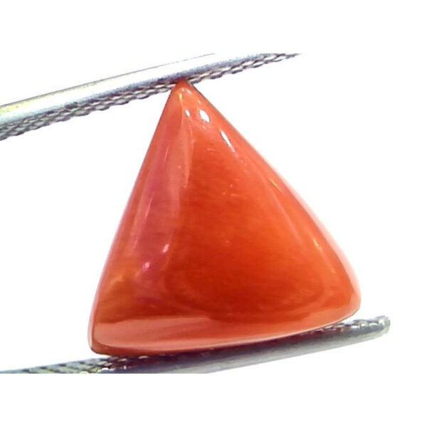 natural coral stone