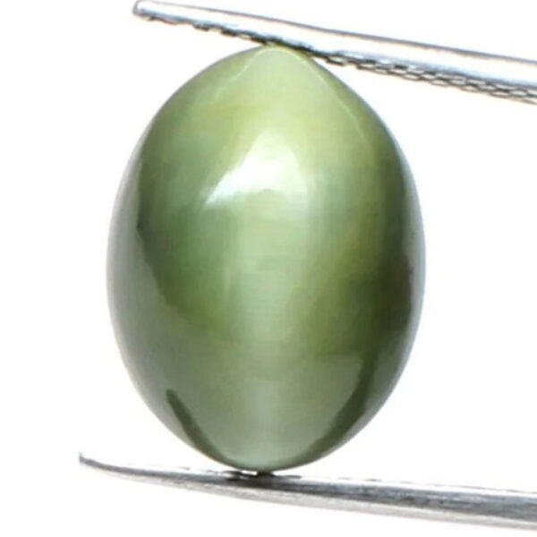 gra certified Lehsunia